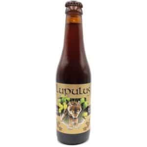 LUPULUS BRUNE 8° 24 X 33 CL