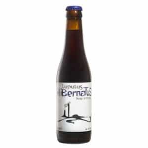 LUPULUS HIBERNATUS - NOEL 24 X 33 CL