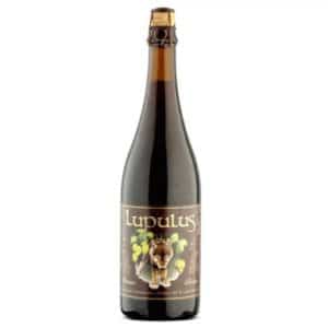 LUPULUS BRUNE 8.5° 12 X 75 CL
